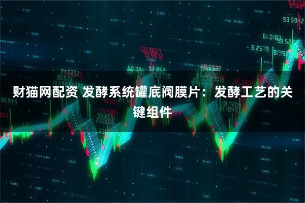 财猫网配资 发酵系统罐底阀膜片:发酵工艺的关键组件