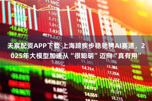 天宸配资APP下载 上海蹄疾步稳驰骋AI赛道，2025年大模型加速从“很聪明”迈向“真有用”
