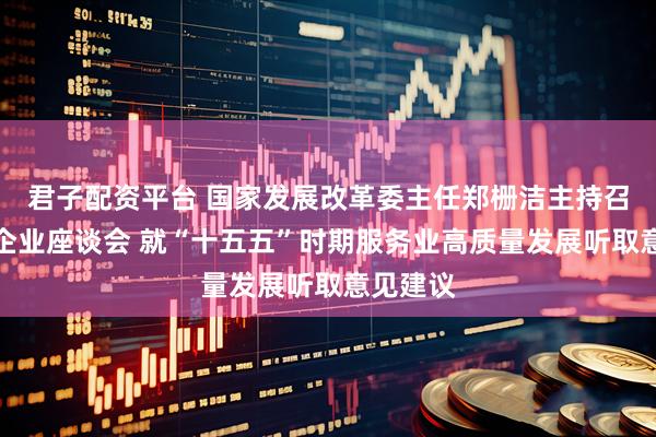 君子配资平台 国家发展改革委主任郑栅洁主持召开民营企业座谈会 就“十五五”时期服务业高质量发展听取意见建议