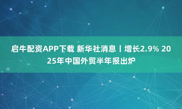 启牛配资APP下载 新华社消息丨增长2.9% 2025年中国外贸半年报出炉
