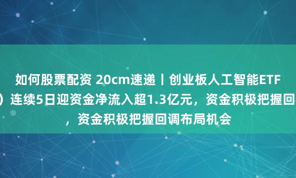 如何股票配资 20cm速递丨创业板人工智能ETF（159388）连续5日迎资金净流入超1.3亿元，资金积极把握回调布局机会