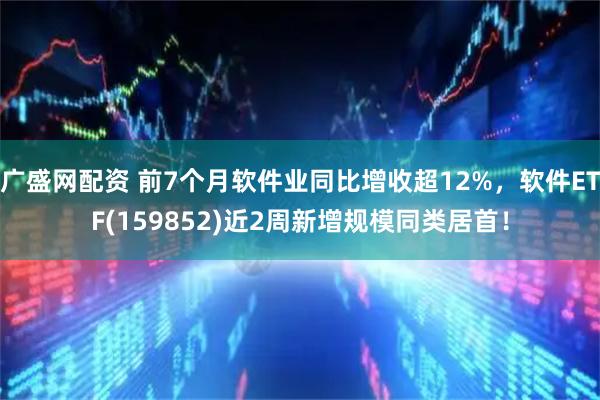 广盛网配资 前7个月软件业同比增收超12%，软件ETF(159852)近2周新增规模同类居首！